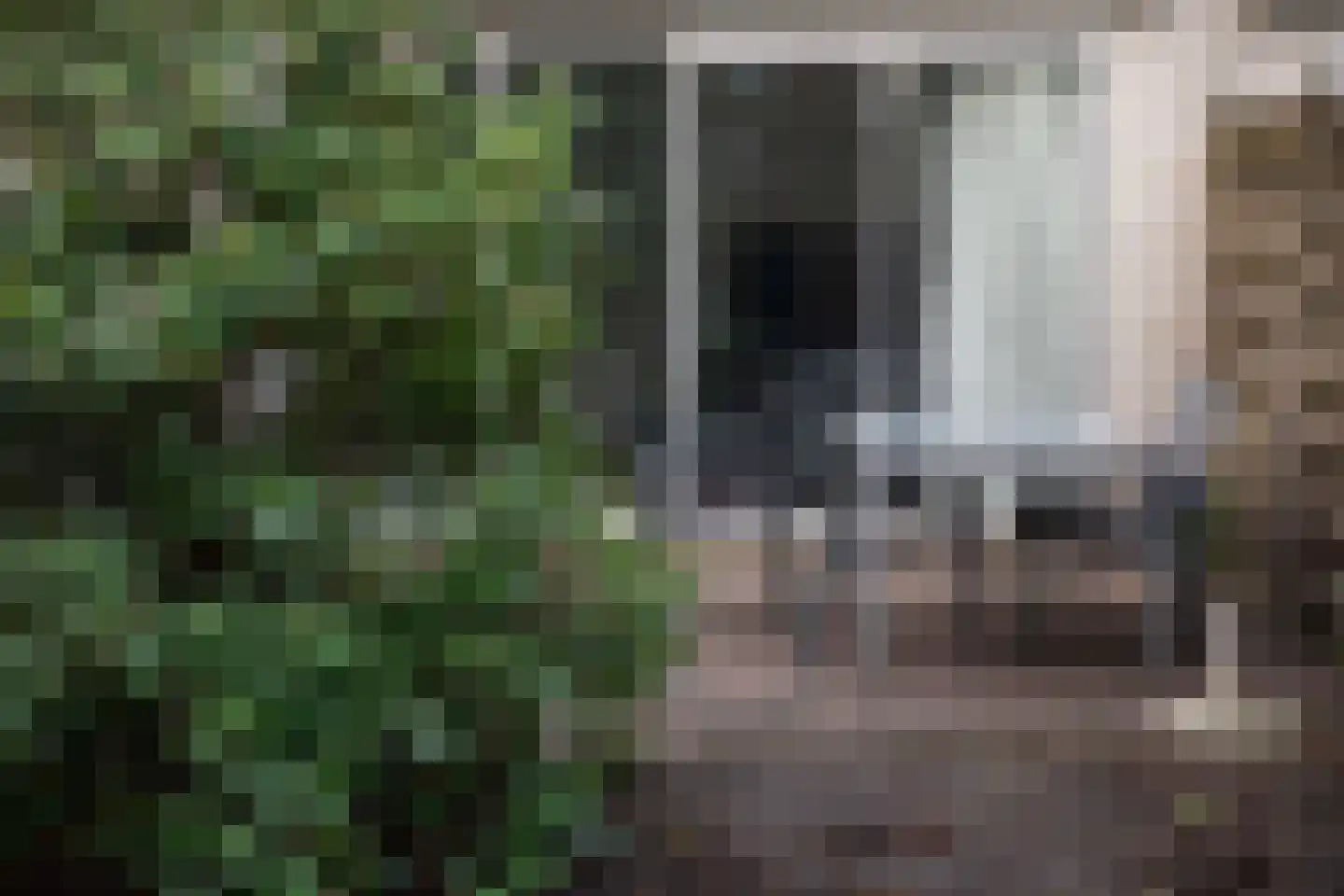Genualaan 23 's-Hertogenbosch thumbnail 53