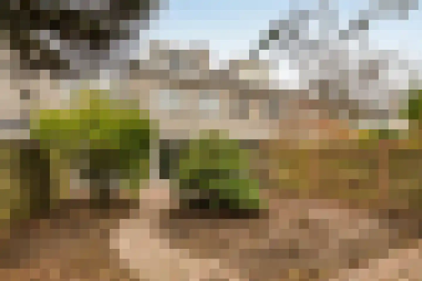 Genualaan 23 's-Hertogenbosch thumbnail 55