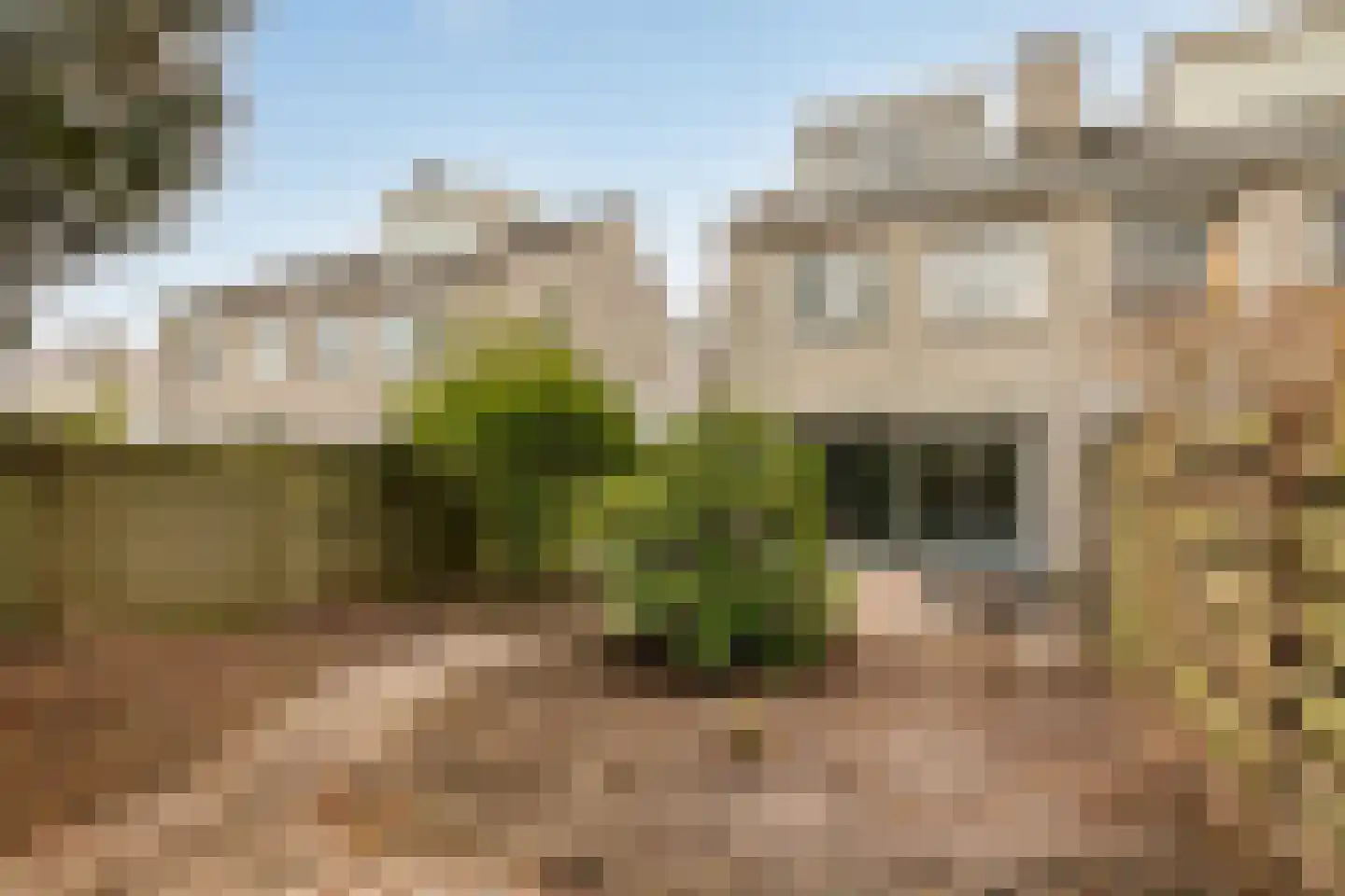 Genualaan 23 's-Hertogenbosch thumbnail 56