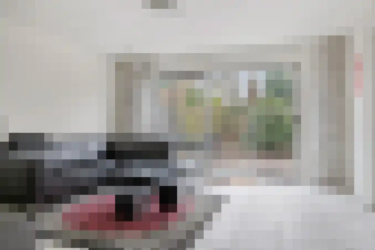 Genualaan 23 's-Hertogenbosch thumbnail 9