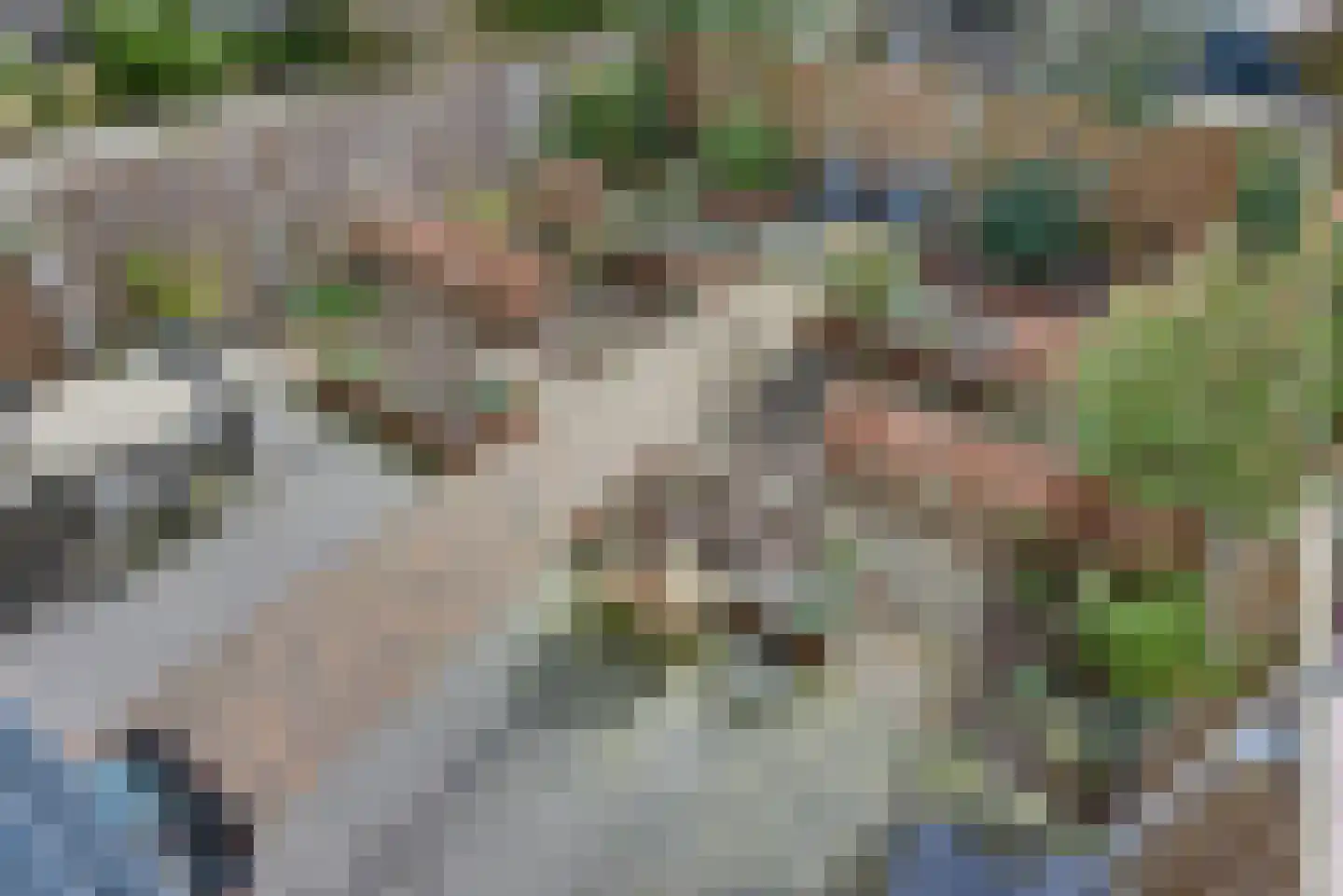 Genualaan 5 's-Hertogenbosch thumbnail 25