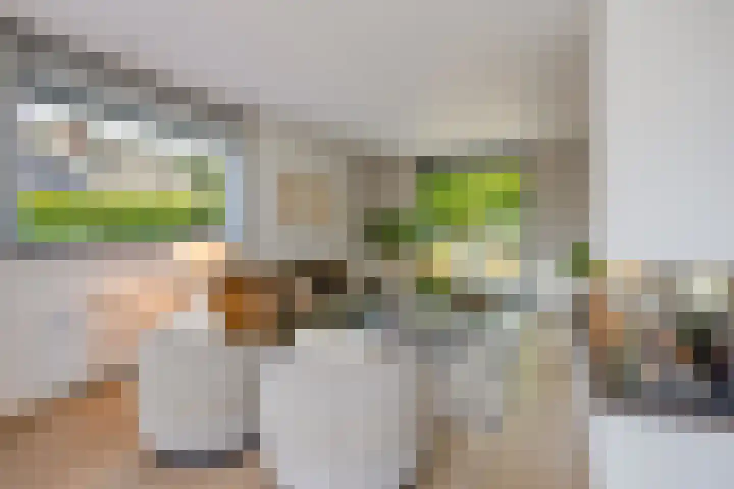 Genzon 35 Ulestraten thumbnail 12