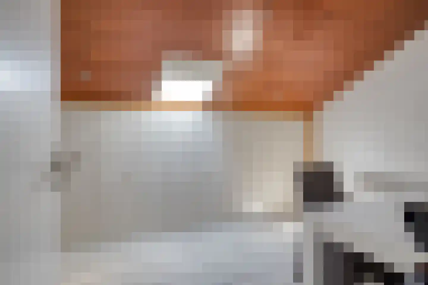 Genzon 35 Ulestraten thumbnail 30