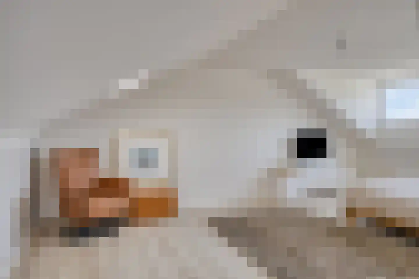 Genzon 35 Ulestraten thumbnail 31