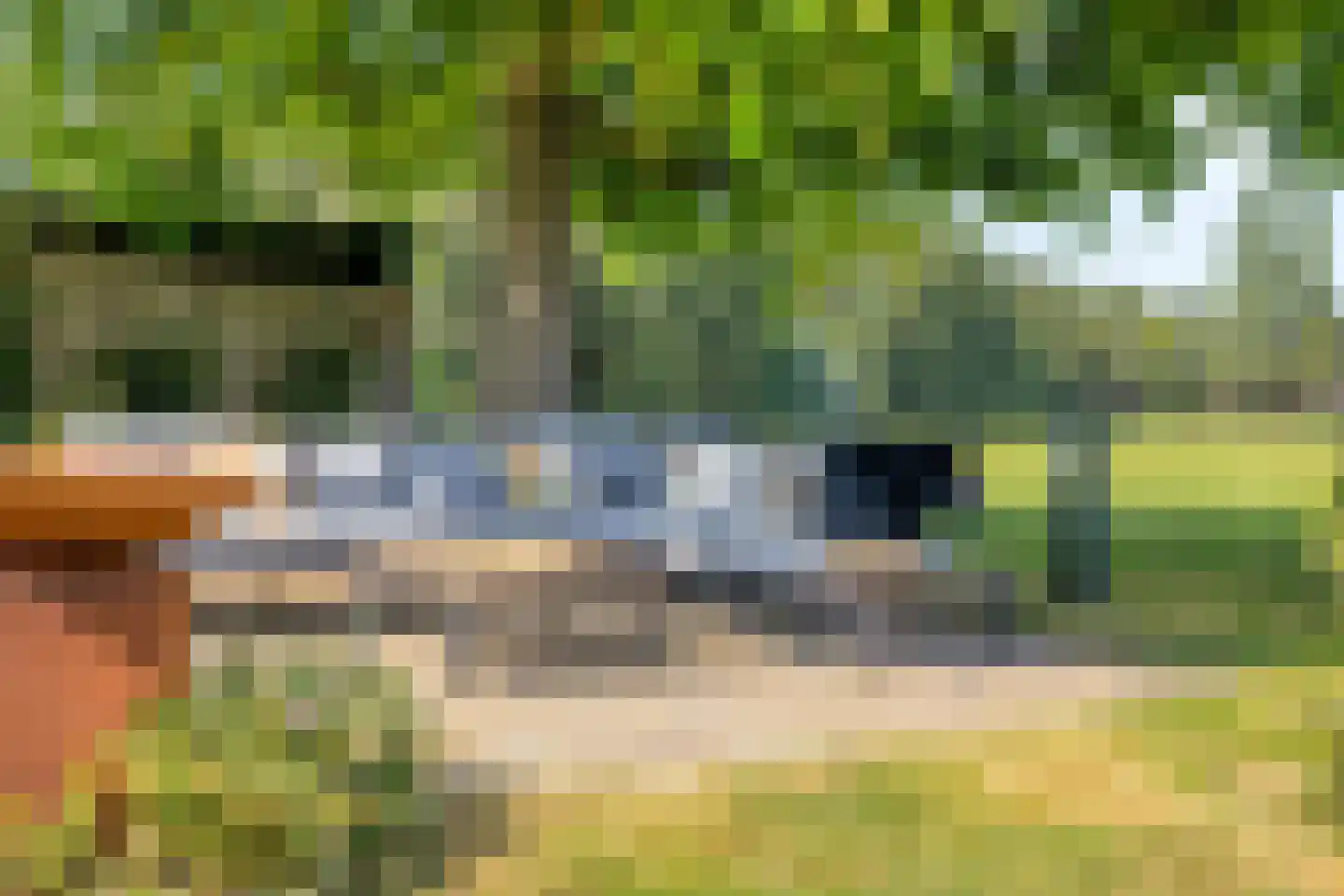 Genzon 35 Ulestraten thumbnail 38