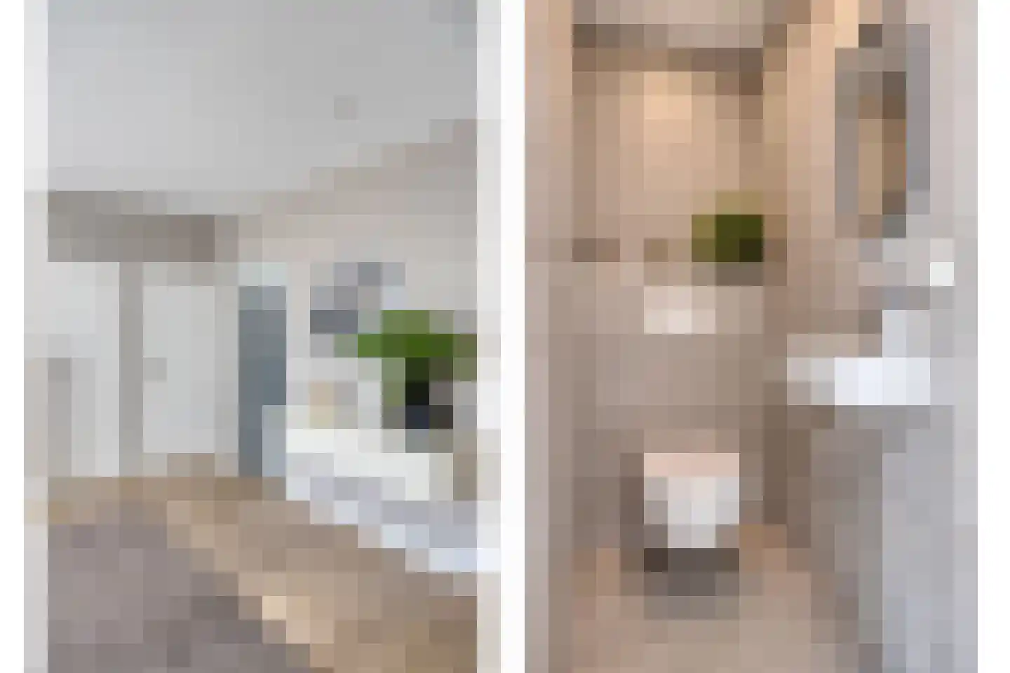 Genzon 35 Ulestraten thumbnail 8