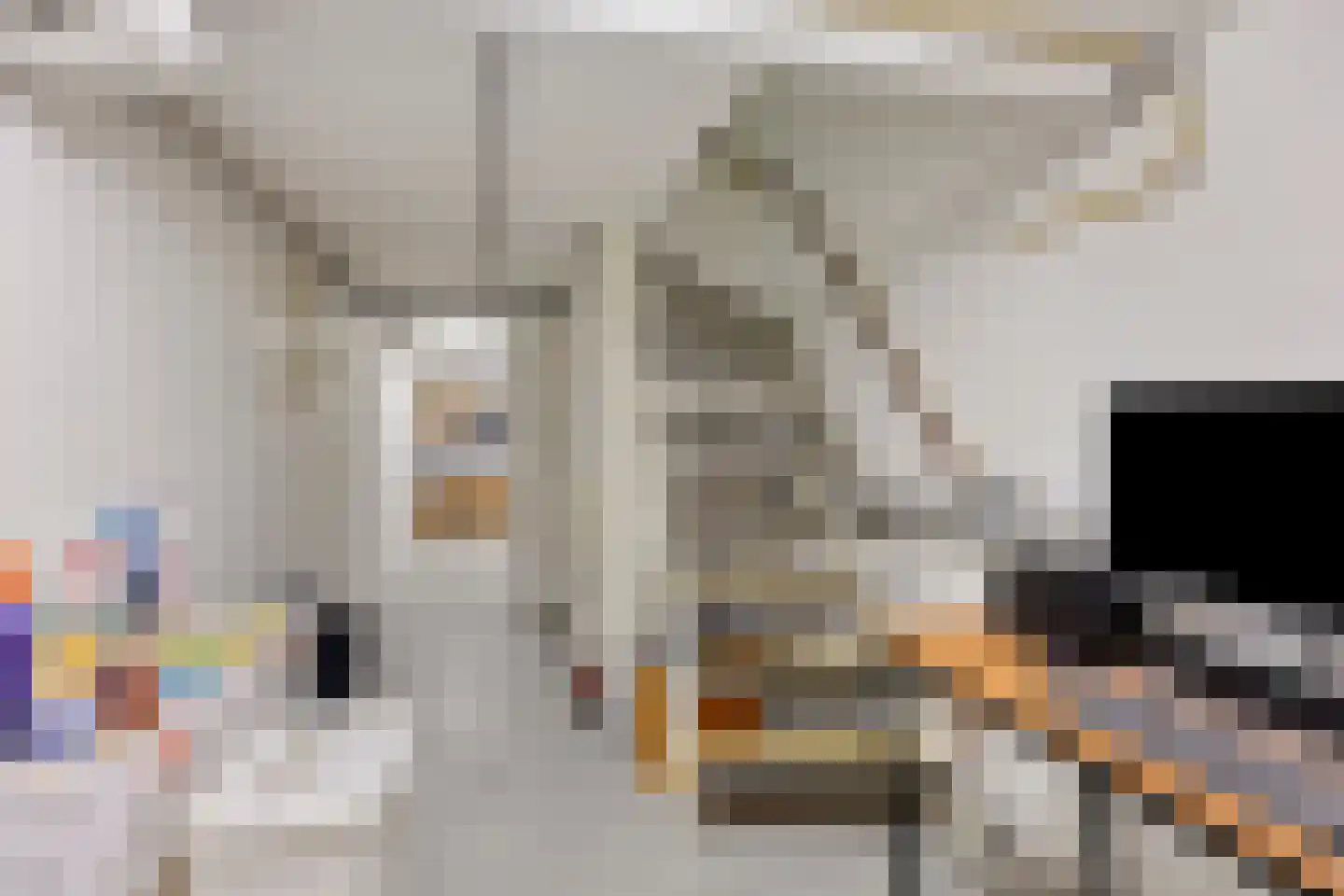 Georg Hegelstraat 13 Rotterdam thumbnail 33