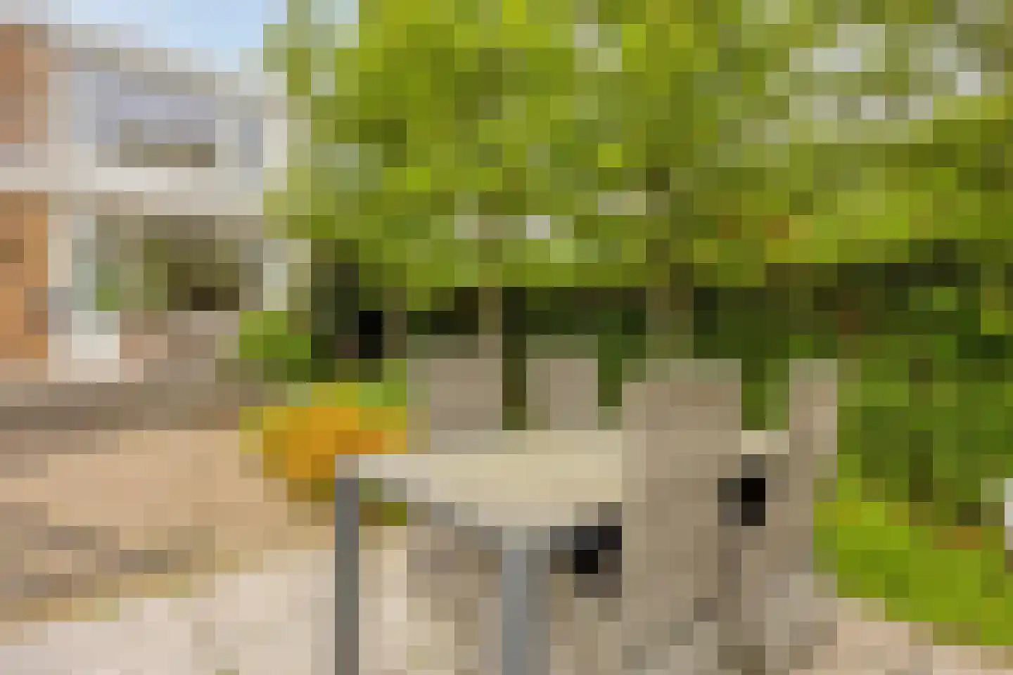 Georg Hegelstraat 13 Rotterdam thumbnail 36