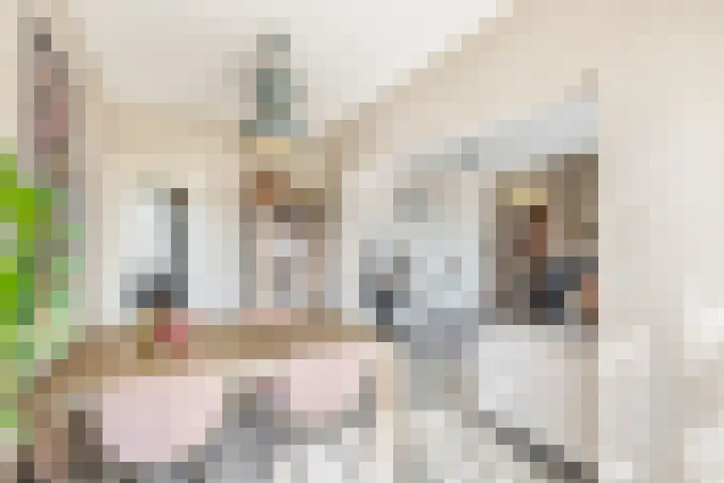 Georg Hegelstraat 57 Rotterdam thumbnail 9