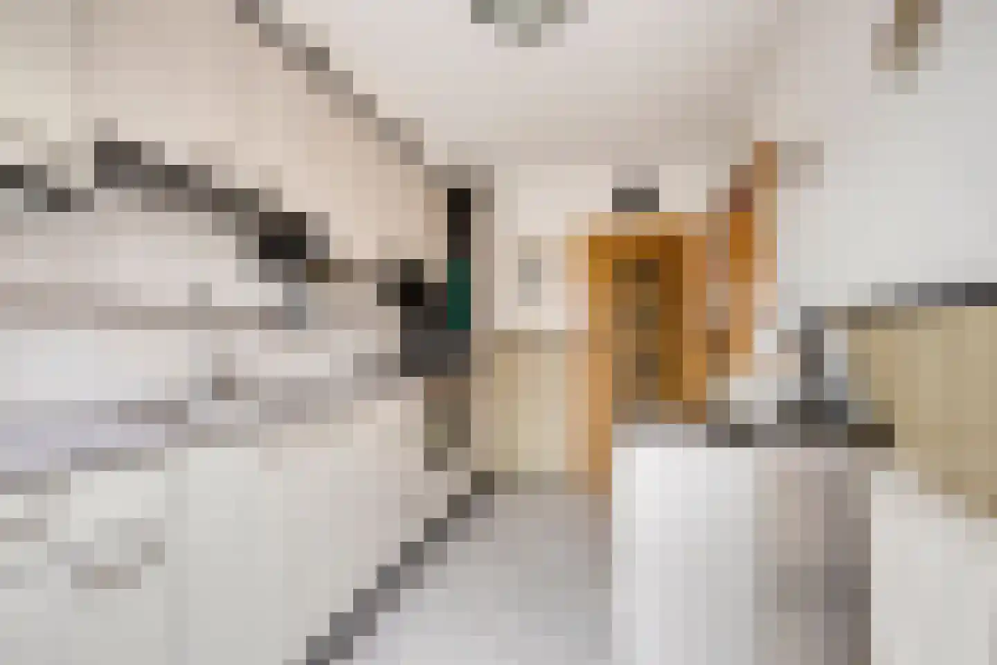 Georg Heringstraat 29 Volendam thumbnail 10
