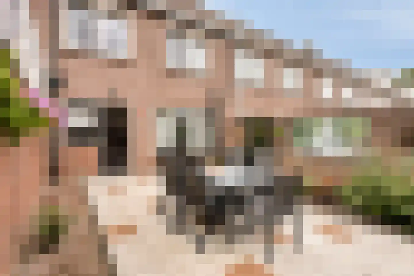 Georg Heringstraat 29 Volendam thumbnail 12