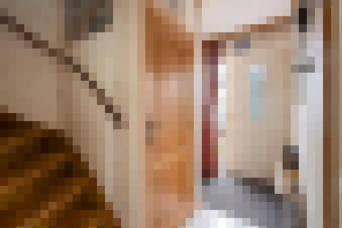 Georg Heringstraat 29 Volendam thumbnail 17