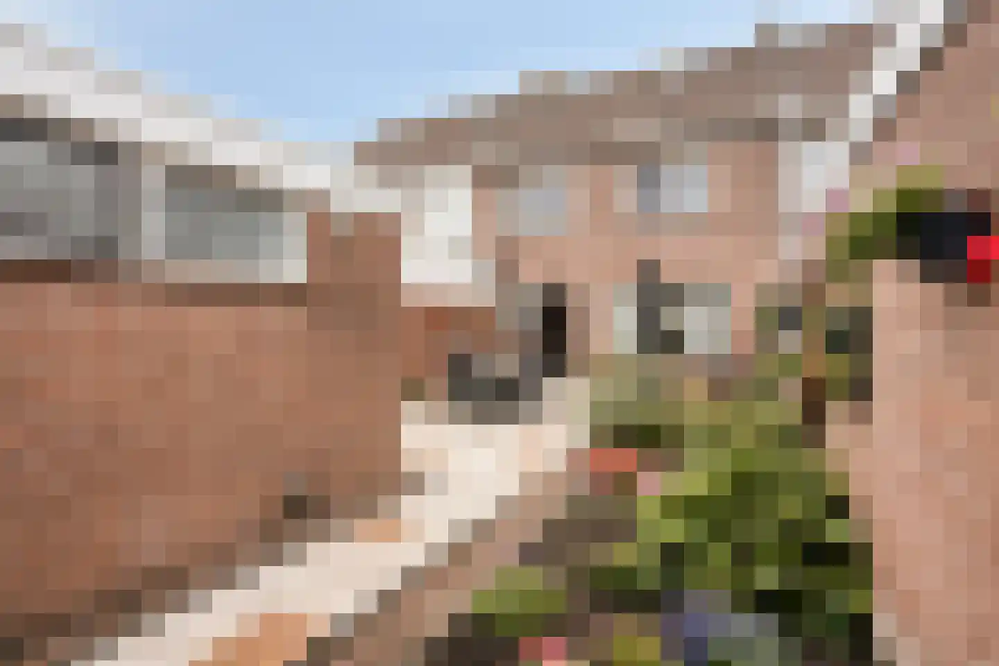 Georg Heringstraat 29 Volendam foto 3