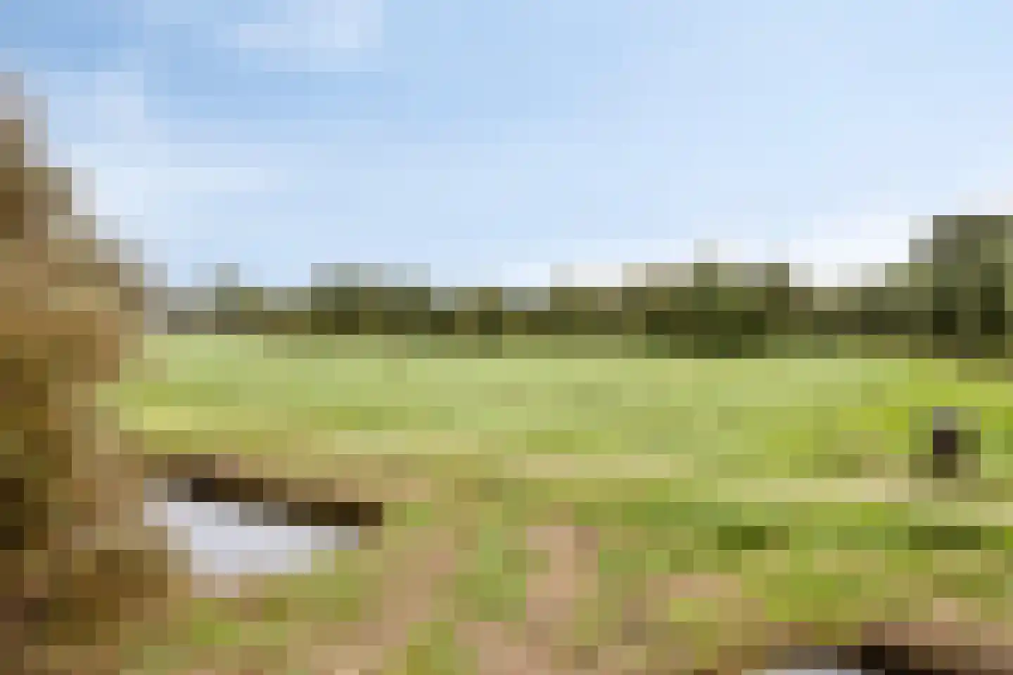 Georg Heringstraat 29 Volendam thumbnail 34
