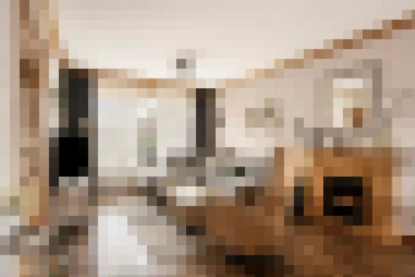 Georg Heringstraat 29 Volendam thumbnail 4