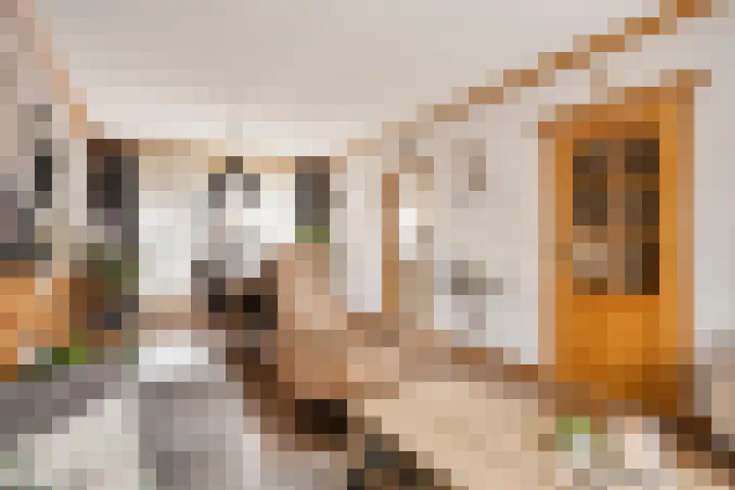 Georg Heringstraat 29 Volendam thumbnail 5