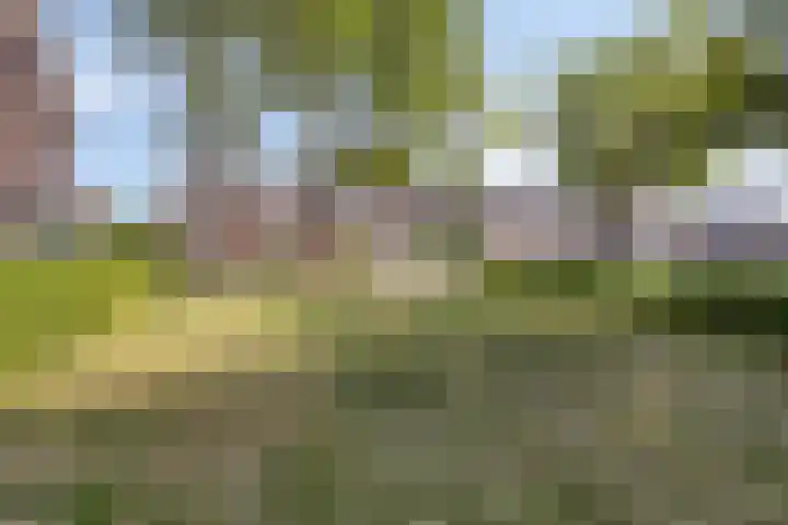 Georg Heringstraat 43 Volendam thumbnail 33