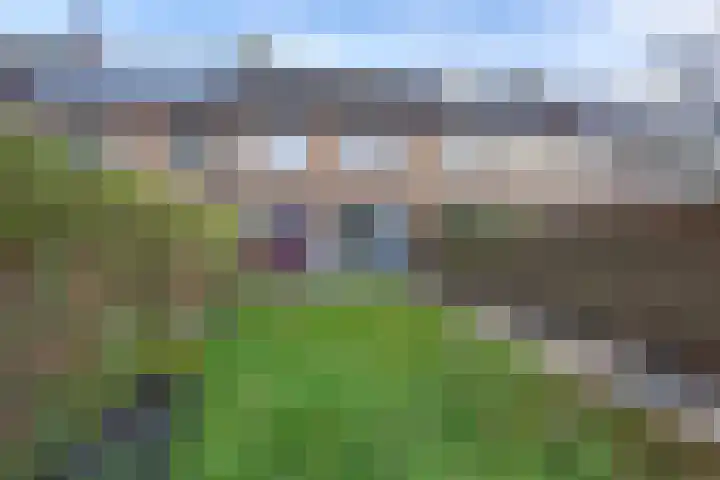 Georg Heringstraat 61 Volendam thumbnail 27