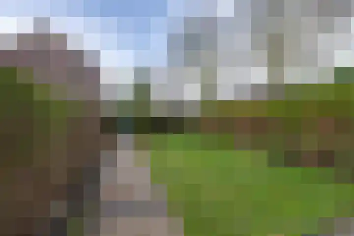 Georg Heringstraat 61 Volendam thumbnail 4
