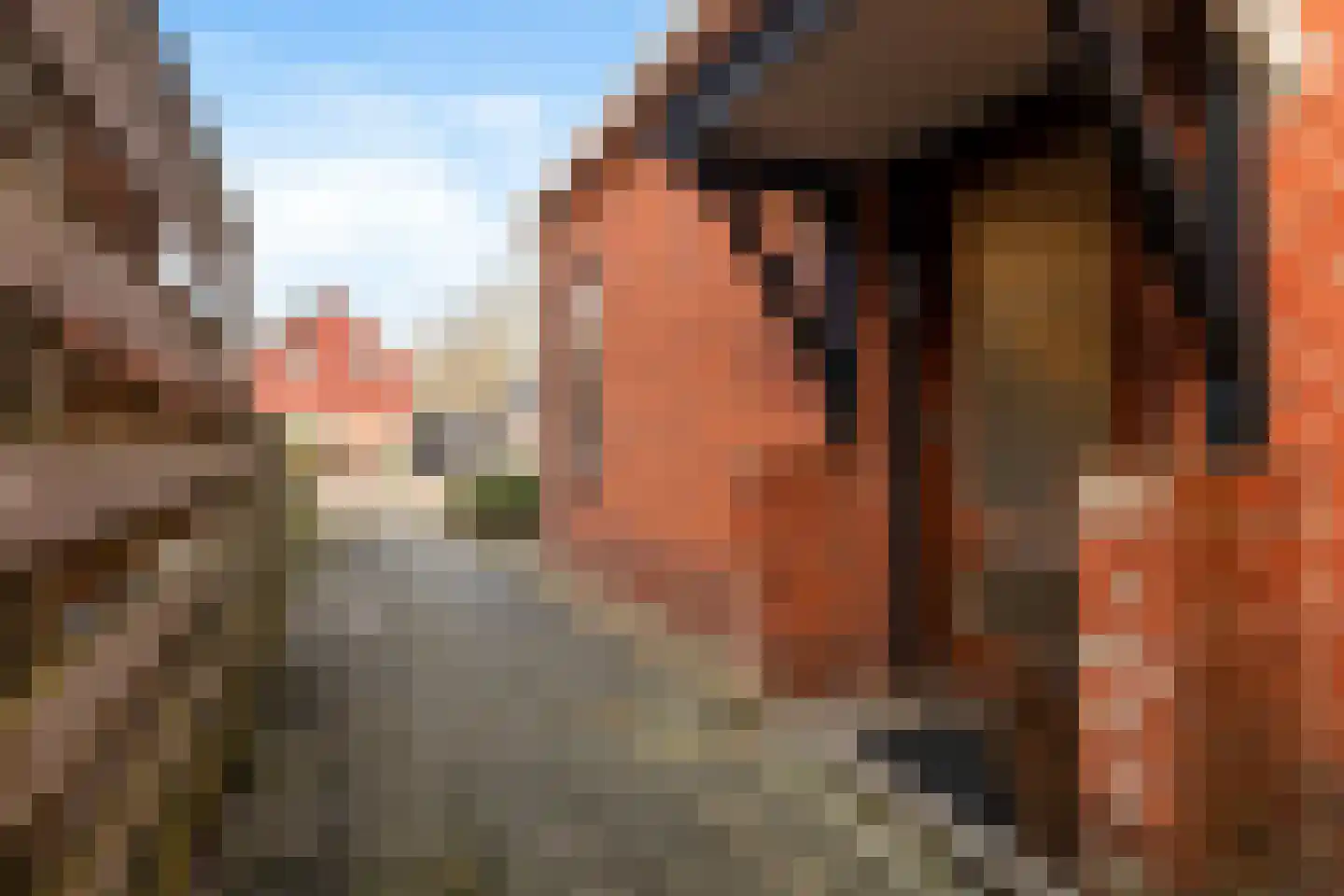 Georg van Saksenstraat 42 St.-Jacobiparochie thumbnail 21