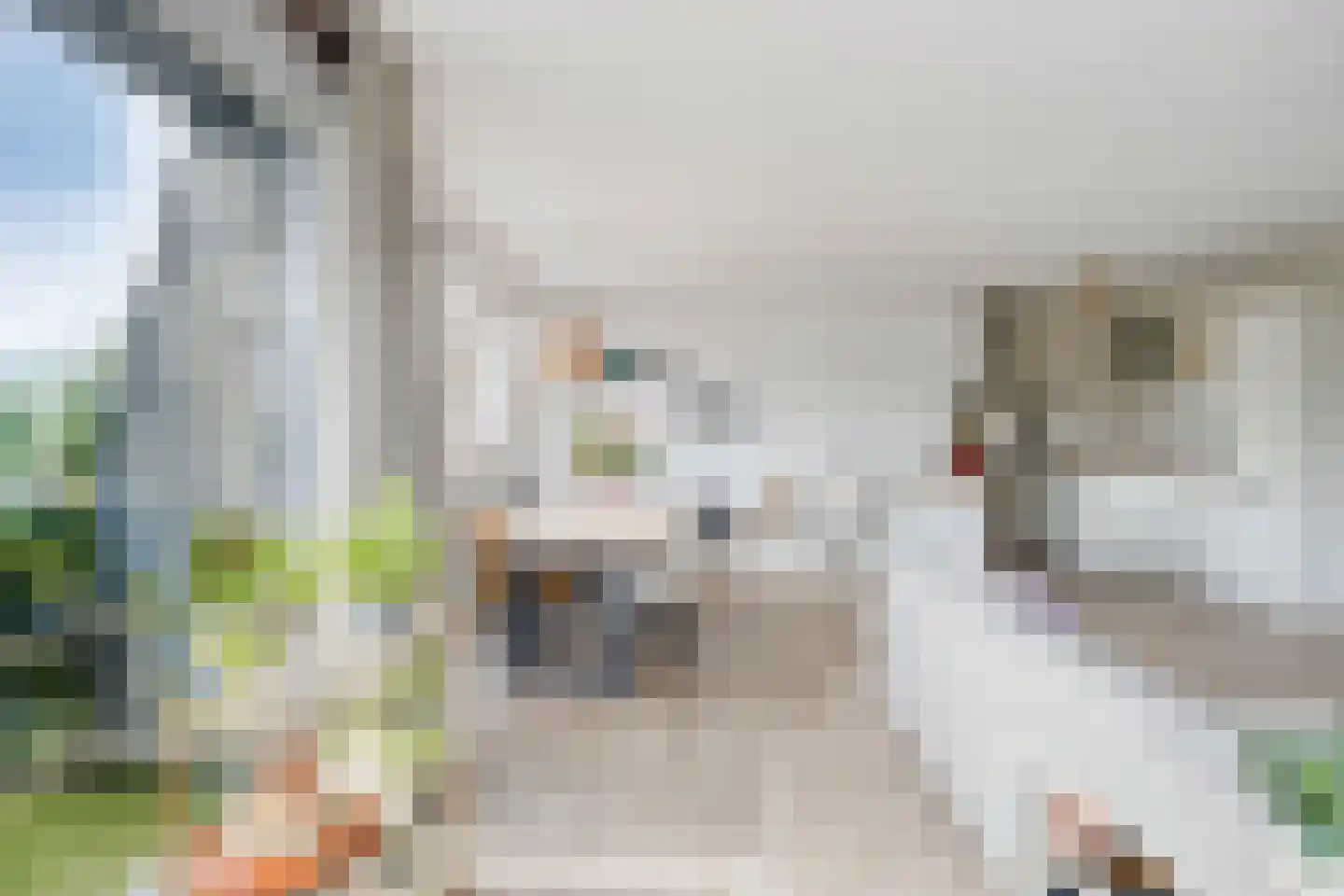 George Bizetstraat 15 Akersloot thumbnail 13