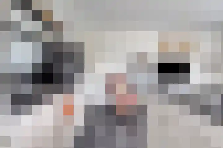 George Bizetstraat 3 Akersloot thumbnail 11