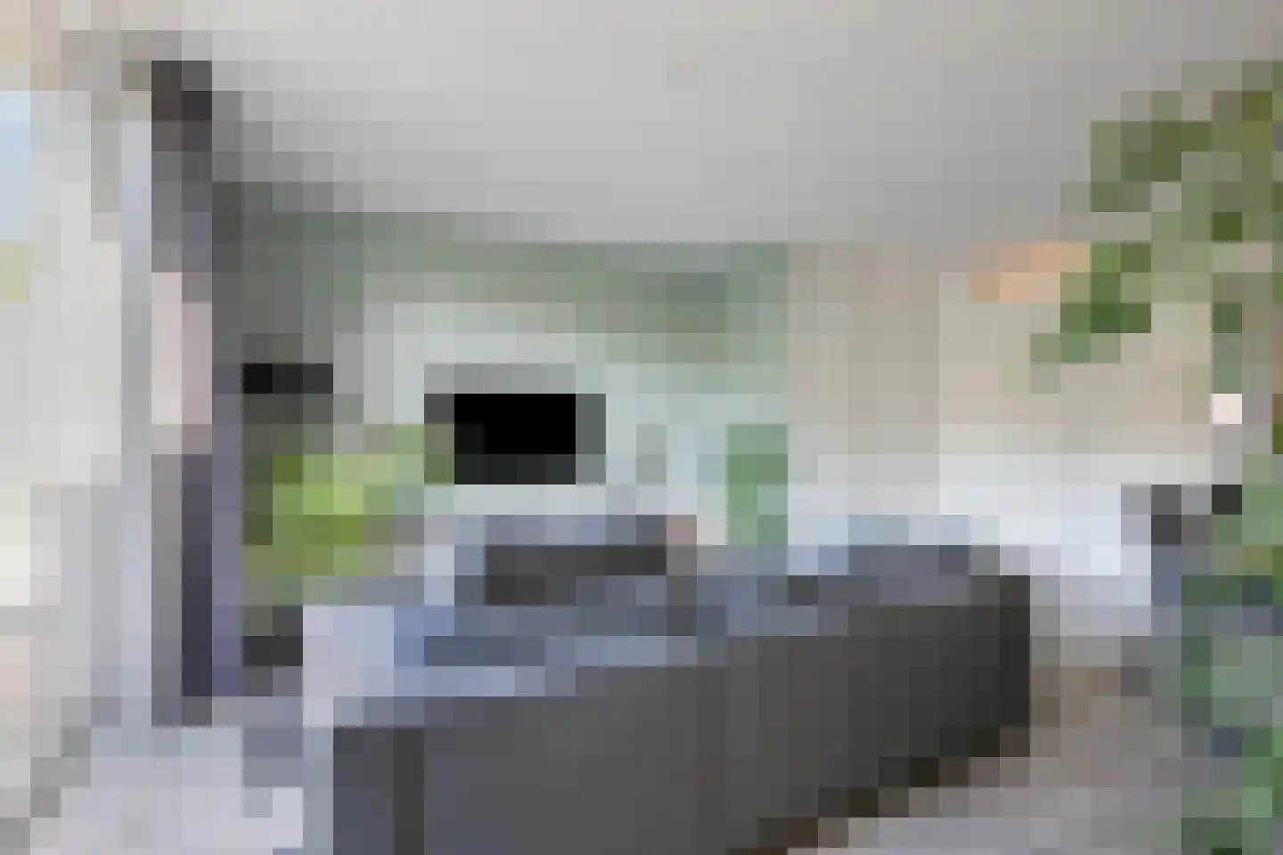 George Breitnerstraat 10 Hengelo thumbnail 13