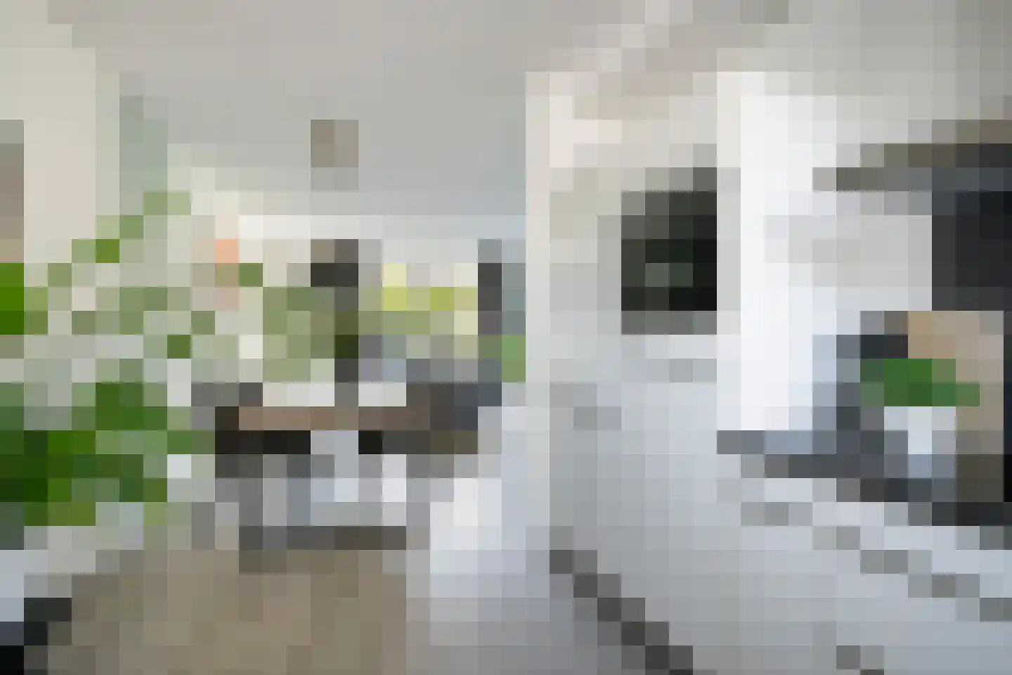 George Breitnerstraat 10 Hengelo thumbnail 18