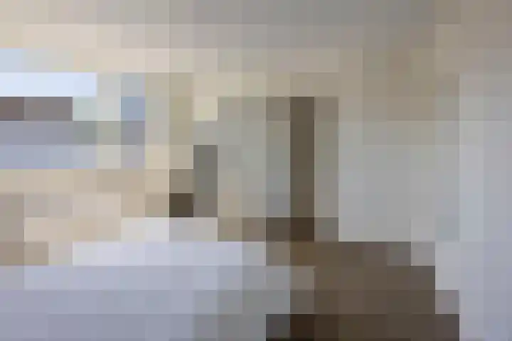 George Breitnerstraat 15 Bergen L thumbnail 25