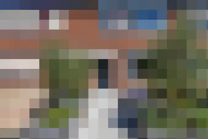 George Breitnerstraat 15 Bergen L thumbnail 6