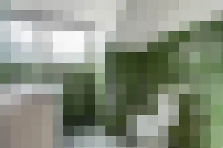 George Breitnerstraat 23 Nunspeet thumbnail 31