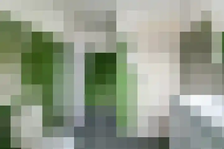 George Breitnerstraat 23 Nunspeet thumbnail 32