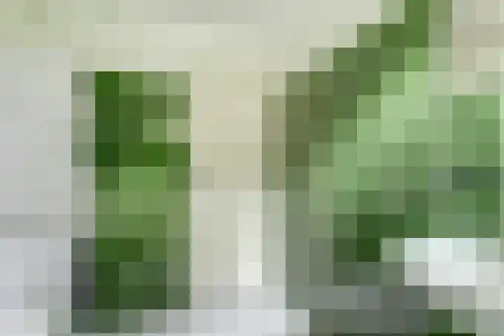 George Breitnerstraat 23 Nunspeet thumbnail 35