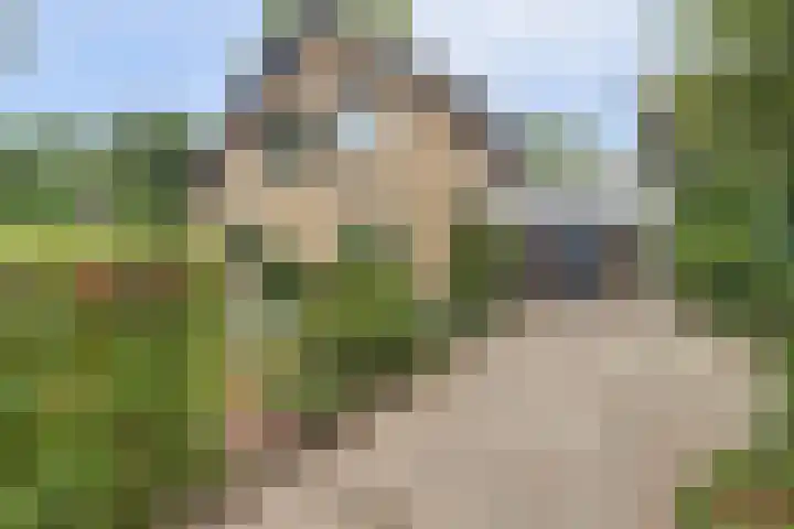 George Breitnerstraat 23 Nunspeet thumbnail 4
