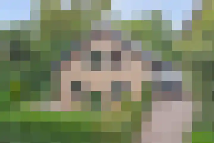 George Breitnerstraat 23 Nunspeet thumbnail 46