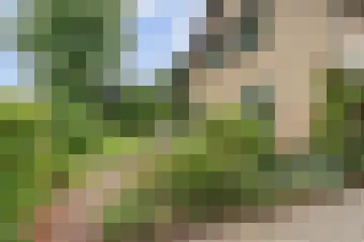George Breitnerstraat 23 Nunspeet thumbnail 5