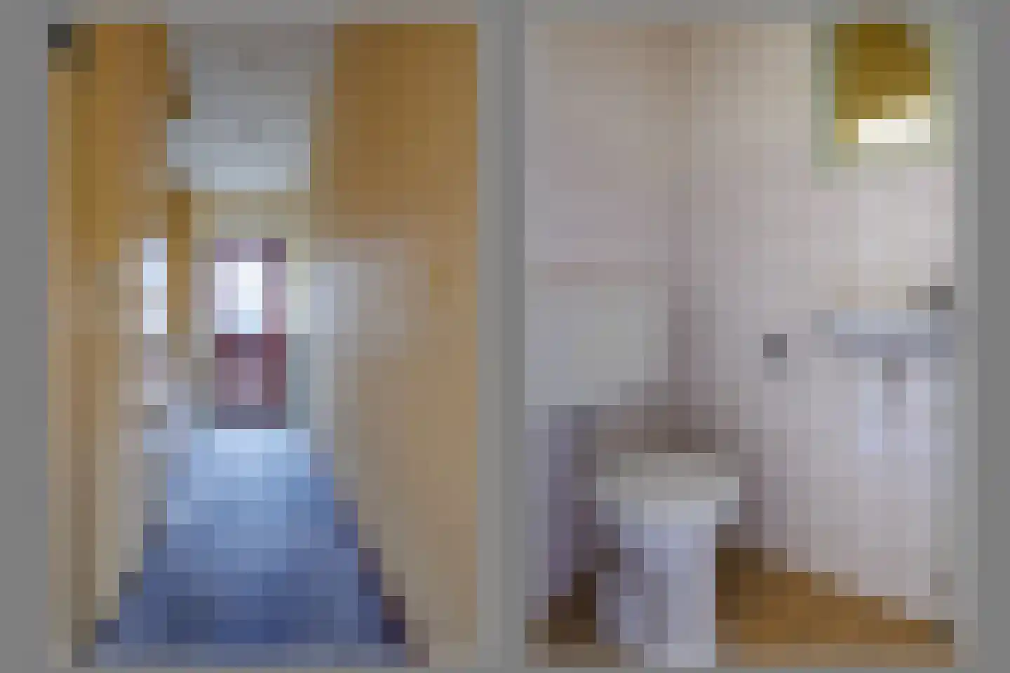 George Breitnerstraat 5 Bergen L thumbnail 6