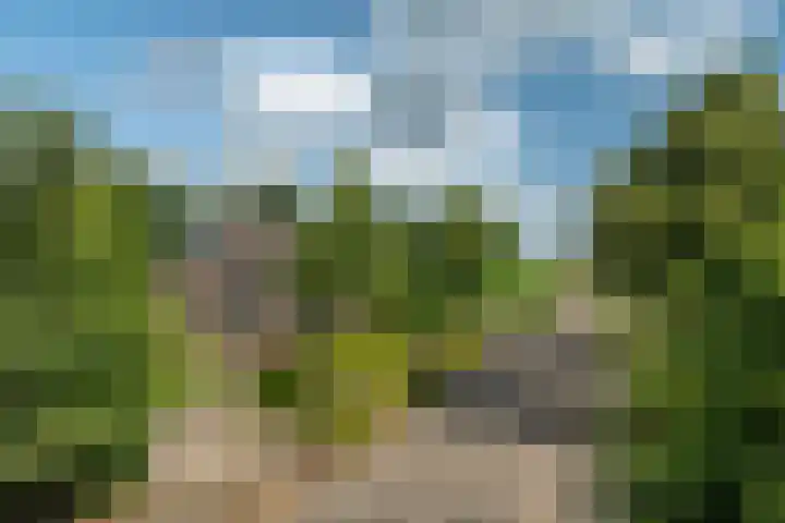George Emersonstrjitte 25 Wirdum thumbnail 10