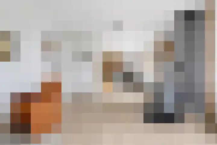 George Emersonstrjitte 25 Wirdum thumbnail 16