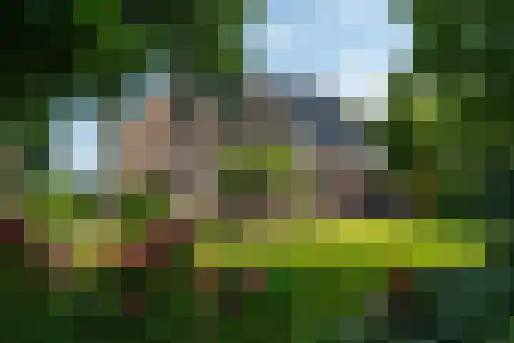 George Emersonstrjitte 25 Wirdum thumbnail 24