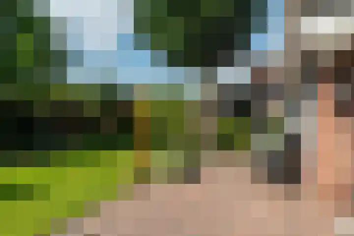 George Emersonstrjitte 25 Wirdum thumbnail 25