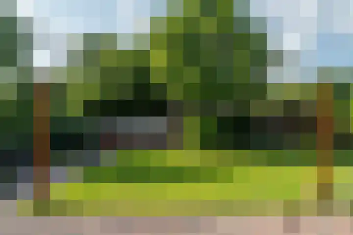 George Emersonstrjitte 25 Wirdum thumbnail 26
