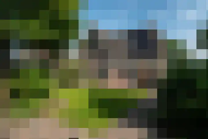 George Emersonstrjitte 25 Wirdum thumbnail 27