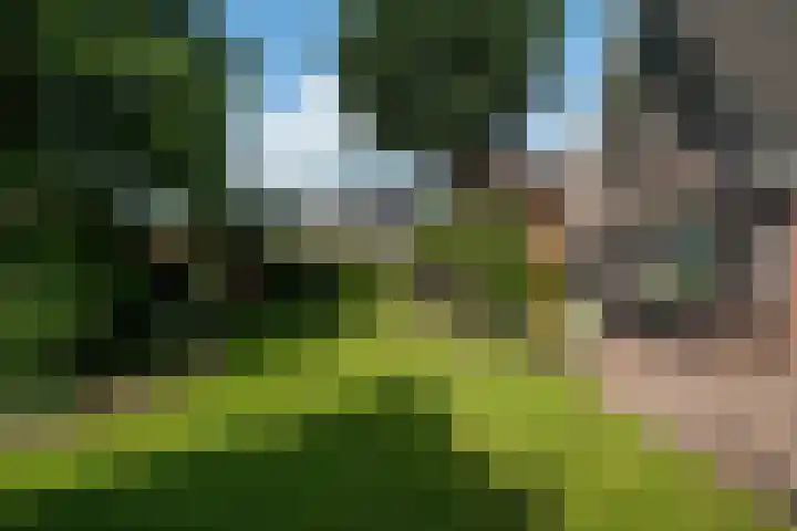 George Emersonstrjitte 25 Wirdum thumbnail 28