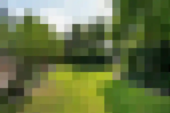 George Emersonstrjitte 25 Wirdum thumbnail 29