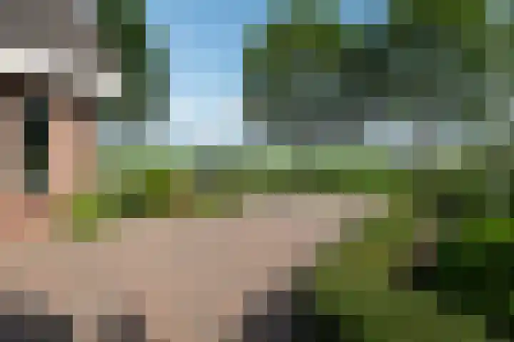 George Emersonstrjitte 25 Wirdum foto 3