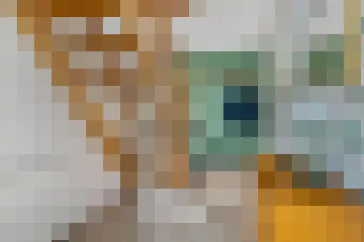 George Emersonstrjitte 25 Wirdum thumbnail 32