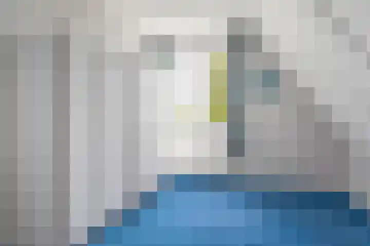 George Emersonstrjitte 25 Wirdum thumbnail 36