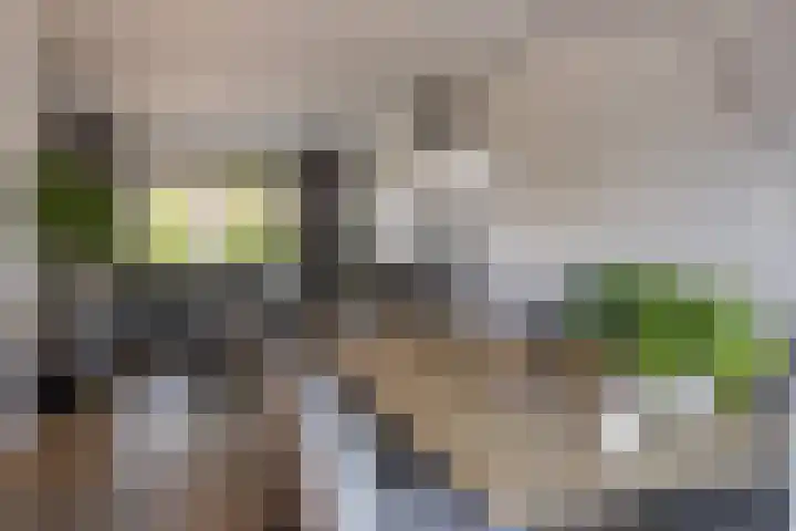 George Emersonstrjitte 25 Wirdum thumbnail 38
