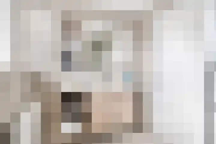 George Emersonstrjitte 25 Wirdum thumbnail 42